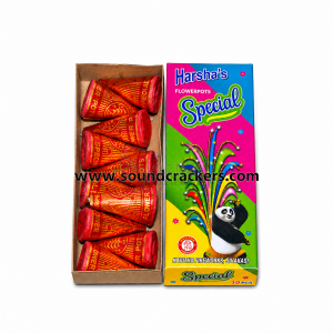 Flower Pots  Special (10 Pcs)